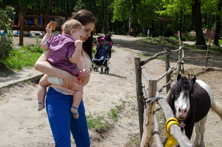 Young mother is walking with her small child in the parkの写真素材