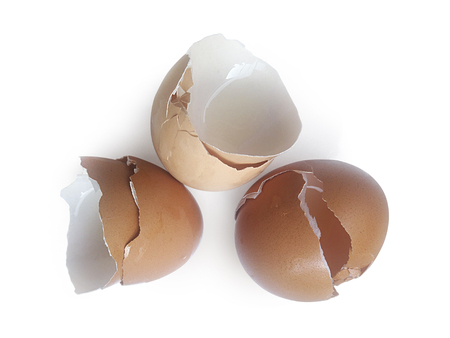 Eggs shell isolated on a white background