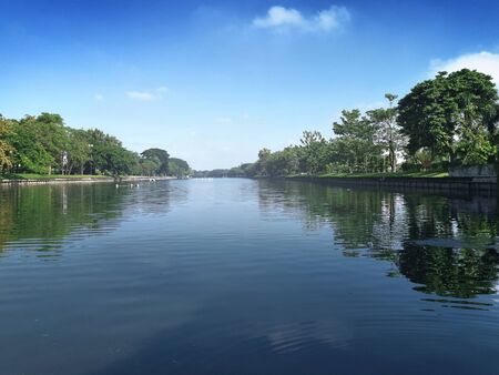 A large pool in the middle of the park is filled with large trees surrounded by the bright blue sky
