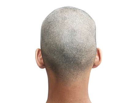 Bald man back view, on white backgroundの写真素材