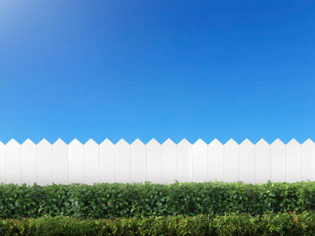 White wooden fence and Green bush on a clear blue sky background. Green leaves wall with parallel plank in nature summer backgroundの写真素材