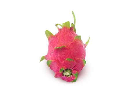 Dragon fruit isolated on white backgroundの写真素材