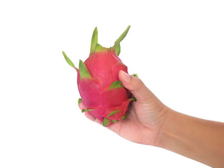 Male hand holds ripe dragon fruit on white backgroundの写真素材