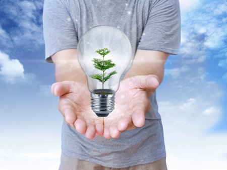 concept creativity with green tree In inside bulbs that shine glitter on blue sky Backgroundの写真素材