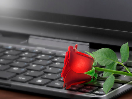 Red rose on the laptop keyboard, Valentine conceptの写真素材