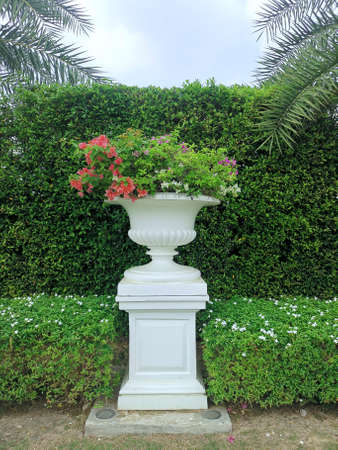 Roman flower style ornamental pot in the gardenの写真素材