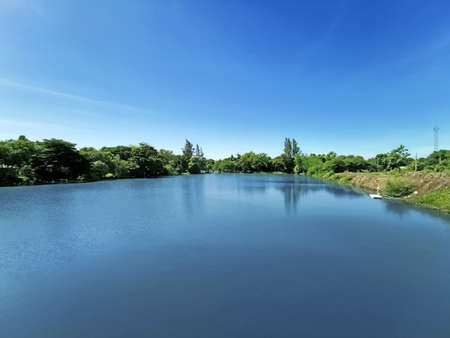 little swamp lake in summer