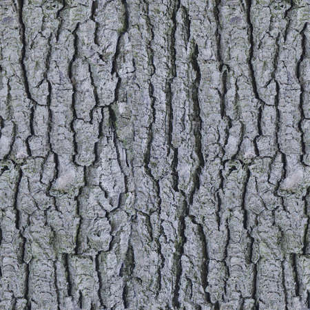 old wooden background, wooden table or floor. 3d render