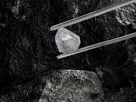 Natural diamond held in tweezers on black coal backgroundの写真素材