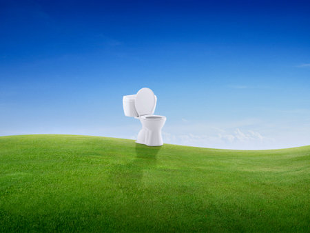 Toilet bowl on green meadow on small hill and blue sky with cloudsの写真素材