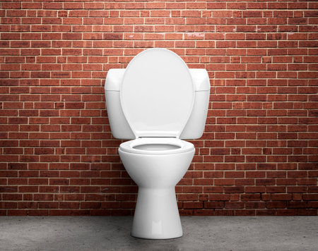 Ceramic toilet bowl in room brick wall and cement floorの写真素材