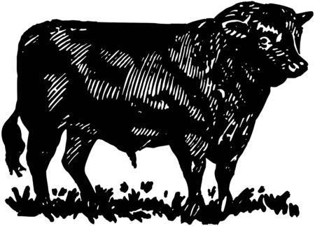 Bullのイラスト素材