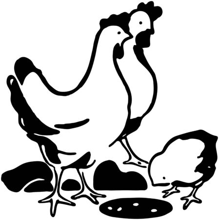 Chickensのイラスト素材