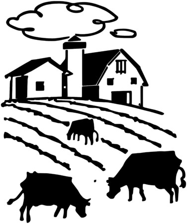 Cows Grazing On Farmのイラスト素材