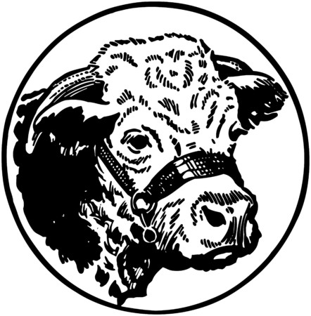 Cows Headのイラスト素材