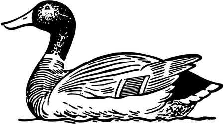 Duckのイラスト素材