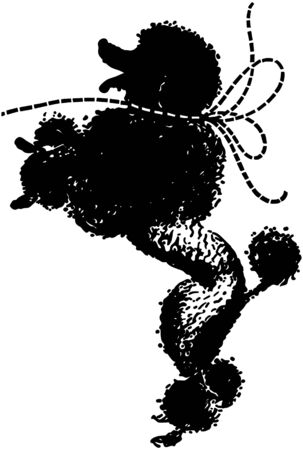 Poodle Beggingのイラスト素材