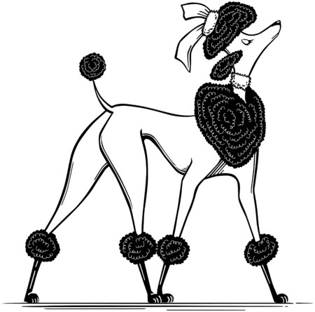 Ritzy Poodleのイラスト素材