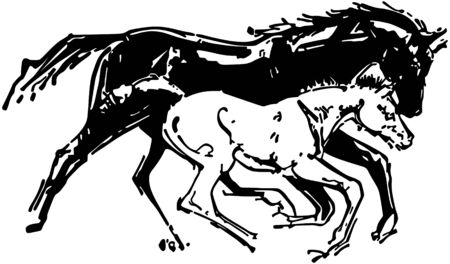 Mare And Coltのイラスト素材