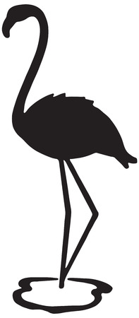 Flamingo Silhouetteの写真素材