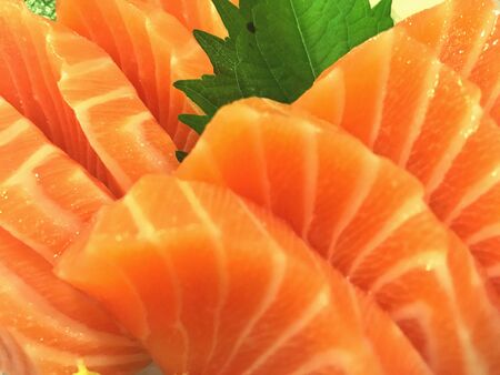 Salmon sashimiの素材
