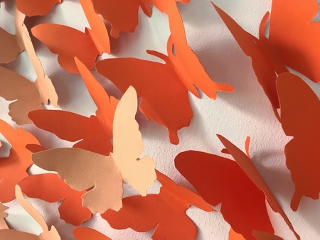 Orange butterflies paper on the wallの素材