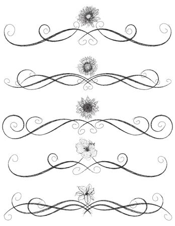 Assorted flower sketches with page rulesのイラスト素材