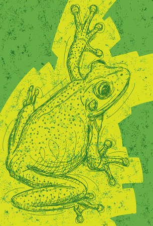 Frog Drawing, Frog drawing over an abstract background. The artwork and background are on separate labeled layers.のイラスト素材