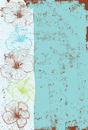 Hibiscus flowers, Hibiscus flowers over an abstract background.のイラスト素材