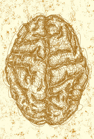 Brain,  A sketch of the top view of a brain over an abstract background. The artwork and background are on separate labeled layers.のイラスト素材