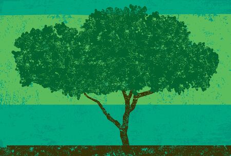Wide Oak tree, An oak tree over a distressed background. The tree and background are on separate labeled layers.のイラスト素材