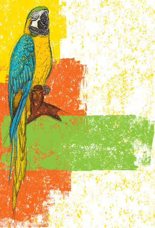 Blue and Yellow Parrot, A Blue-Yellow Macaw over an abstract background. The parrot and background are on separately labeled layers.のイラスト素材