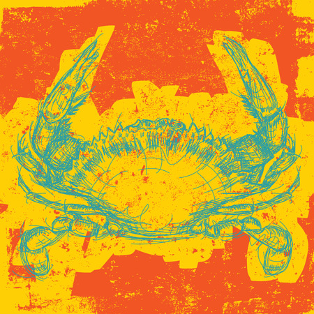 Blue Crabのイラスト素材