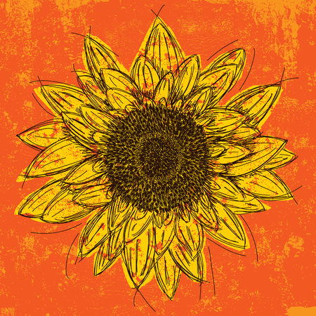 Sunflowerのイラスト素材