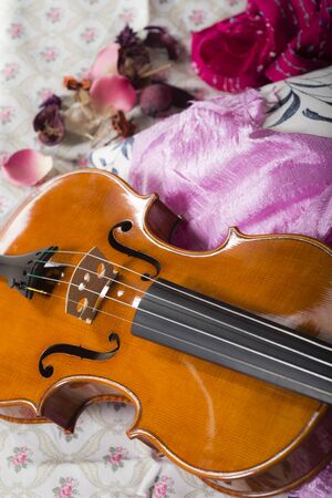 Cremonese hand made stringed instrument violin in a still life compositionの写真素材