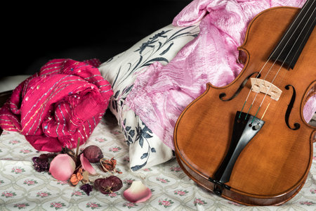 Cremonese hand made stringed instrument violin in a still life compositionの写真素材