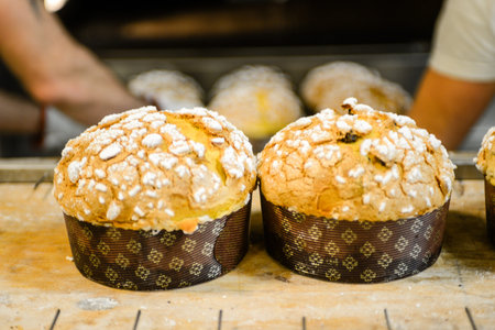 pastry chef in professional kitchen preparing and baking milanese panettone in christmas time. Panettone is a fruity sugary bread cake from Milan, Lombardy Italyの写真素材