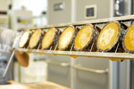 pastry chef in professional kitchen preparing and baking milanese panettone in christmas time....