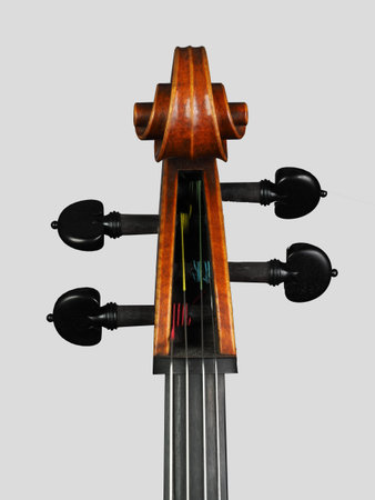 Antique cello scroll detail