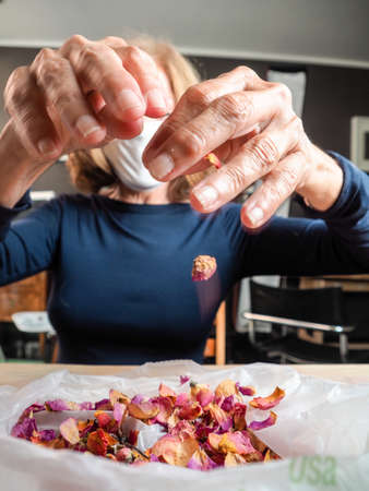 70 s elegant old senior lady working manually with sick wrinkled hands curing dried roses for home decoration hobby wearing a face mask for coronavirus protection.の写真素材