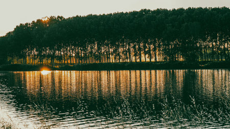 sunset in the Po river in Emilia Romagna, Italyのeditorial素材