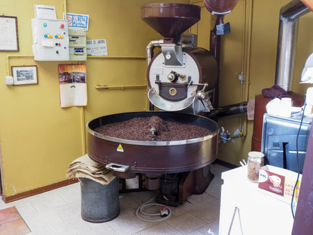 raw green coffee beans from bio ethical agriculture in costa rica roasted in Cremona Italy at Denti Torrefazioneのeditorial素材