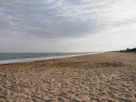 deserted scenery in the late afternoon in Brussa beach in Veneto, Italyのeditorial素材