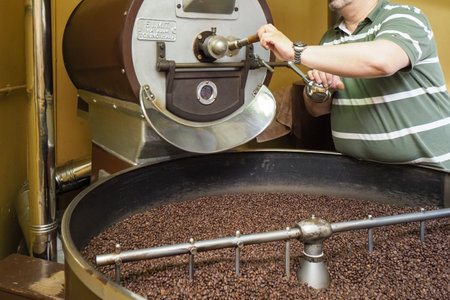 raw green coffee beans from bio ethical agriculture in costa rica roasted in Cremona Italy at Denti Torrefazioneのeditorial素材