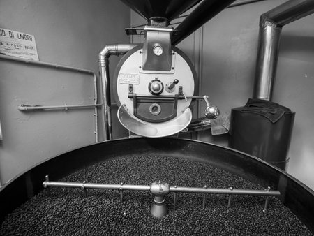 raw green coffee beans from bio ethical agriculture in costa rica roasted in Cremona Italy at Denti...