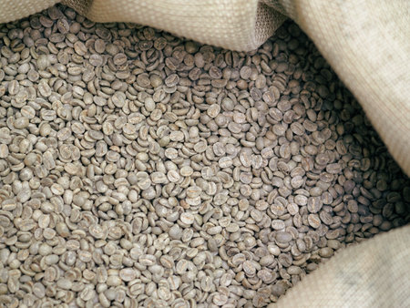 raw green coffee beans from bio ethical agriculture in costa rica