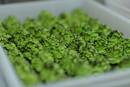 artisan chef preparing handmade with icing and chocolate spider vampire topperの写真素材