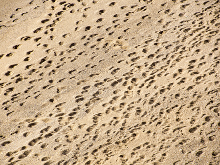 Footprints on the beachの写真素材