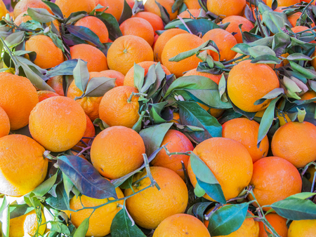 Oranges piled up in a marketの写真素材