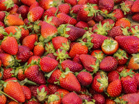 Strawberries seen from up closeの写真素材